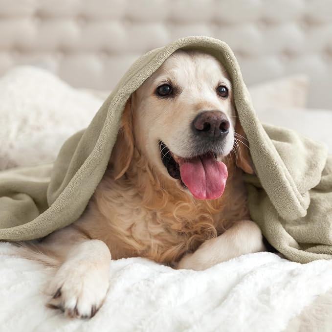 BEDELITE Fleece Blanket Twin Size Oat Linen Throw Blankets - Image 7
