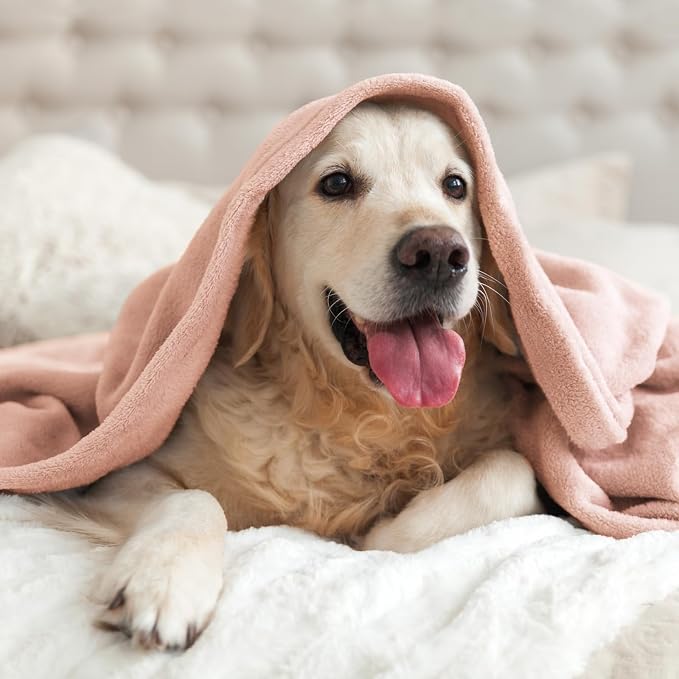 BEDELITE Fleece Blanket Pink Morn Throw Blankets - Image 7