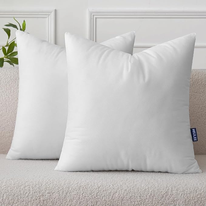 MIULEE Set of 2 Throw Pillow Inserts 20x20 Inches, Nowoven Decorative Pillow by MIULEE
