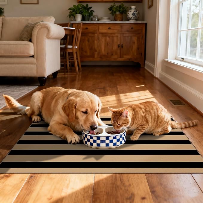 Front Door Mat Outside Entrance - Image 5