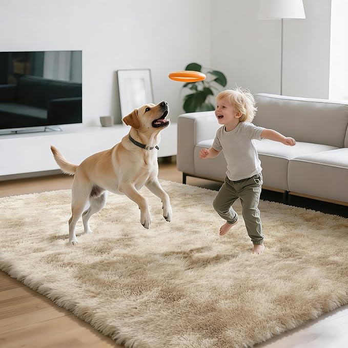 Shag Area Rugs for Bedroom Living Room, 4X6 Ultra Soft Fluffy Area Rugs for Dorm - Image 7