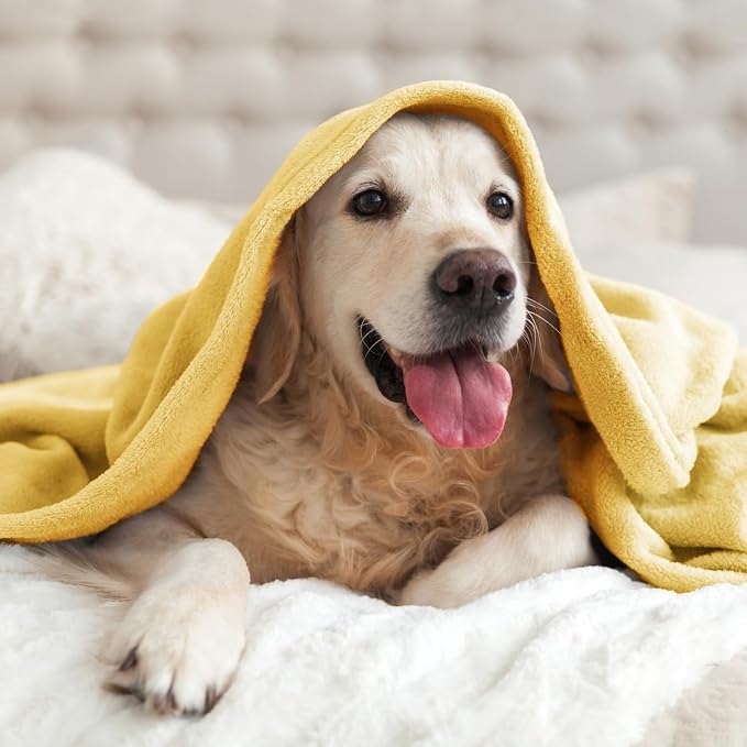 BEDELITE Fleece Blanket Twin Size Cream Yellow Throw Blankets - Image 8