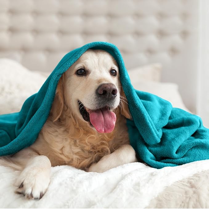 BEDELITE Fleece Blanket King Size Blankets - Image 7
