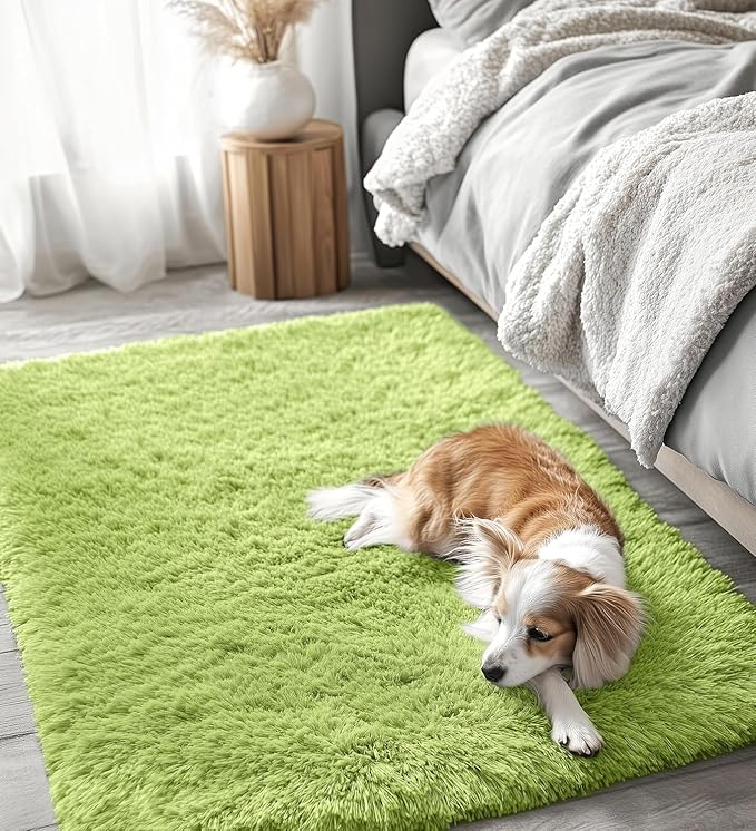 OLANLY 2x3 Machine Washable Small Bedside Rug, Soft Fluffy Shaggy Entryway - Image 3