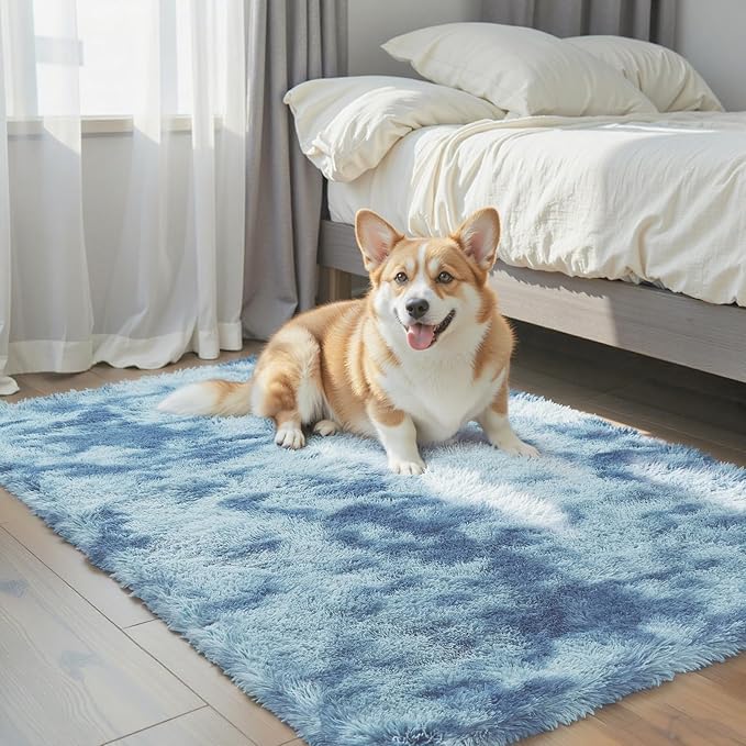 Small Rug Throw Rugs for Bedroom, Mini Area Rug, Fluffy Blue Carpet, Affordable by Junhejiamei