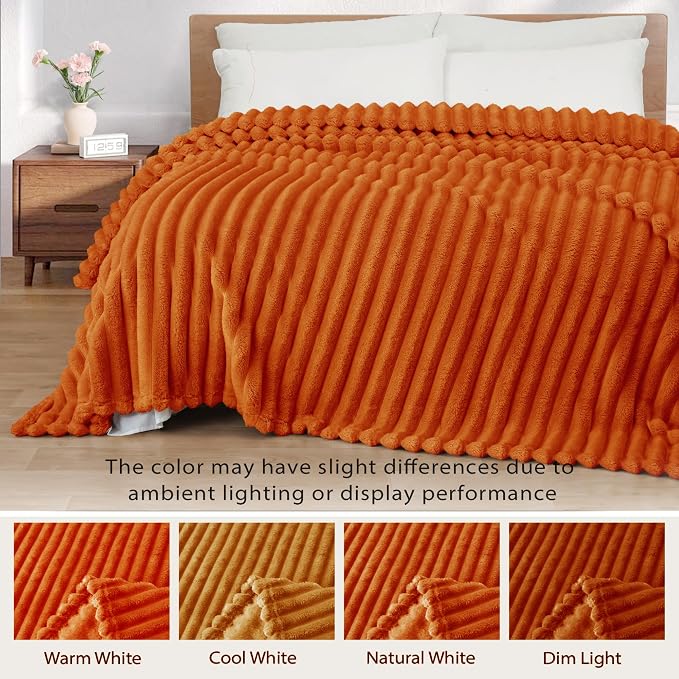 Exclusivo Mezcla Queen Size Flannel Fleece Blanket, Super Soft Striped Jacquard - Image 3
