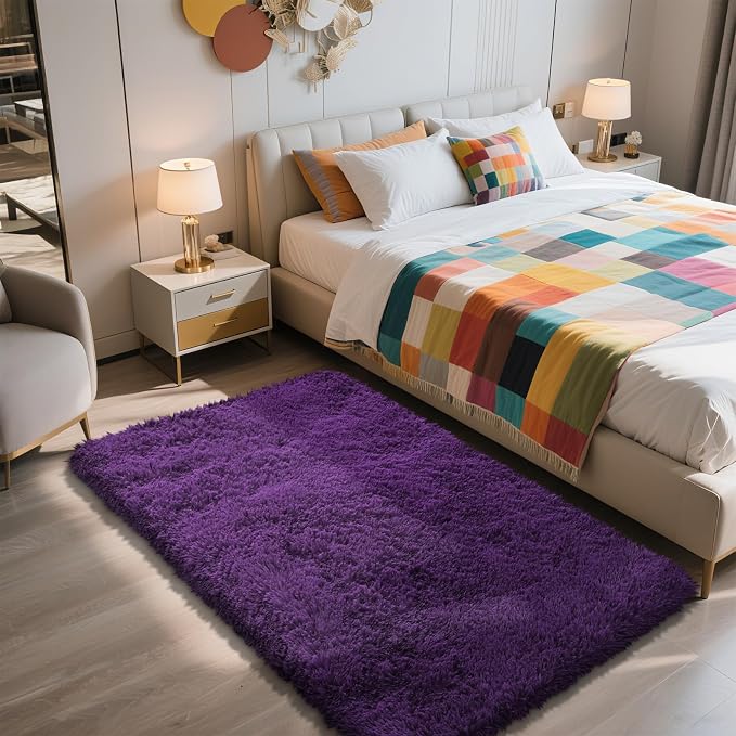 Shag Area Rug for Bedroom 3x5, Soft Fuzzy Rug Non-Shedding Indoor Plush Carpet by yulidayang