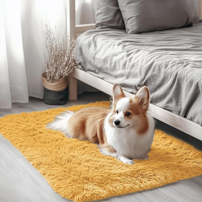 OLANLY 2x3 Machine Washable Small Bedside Rug, Soft Fluffy Shaggy Entryway by OLANLY