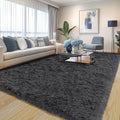 Pionblank Large Rug for Living Room 6x9 Feet, Modern Soft Shag Area Rug by PIONBLANK