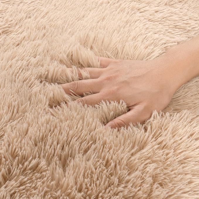 Small Area Rug, 2x3 Rug for Bedroom Shaggy Throw Rugs for Dorm Rug, Soft Shag - Image 4
