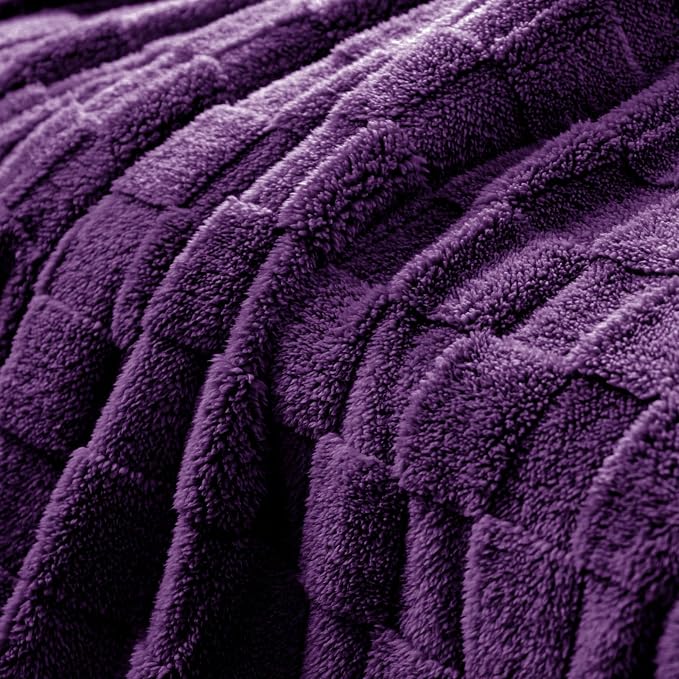 Exclusivo Mezcla Queen Size Flannel Fleece Blanket, Super Soft and Warm - Image 4