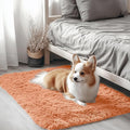 OLANLY 2x3 Machine Washable Small Bedside Rug, Soft Fluffy Shaggy Entryway by OLANLY