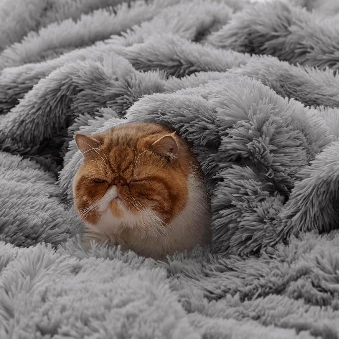 Bedsure GentleSoft Fluffy Grey Blankets Queen Size - Image 3