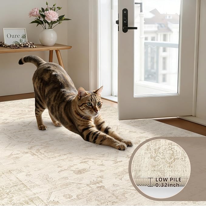5x7 Area Rugs for Living Room: Vintage Boho Neutral Washable Rug Indoor Soft - Image 7