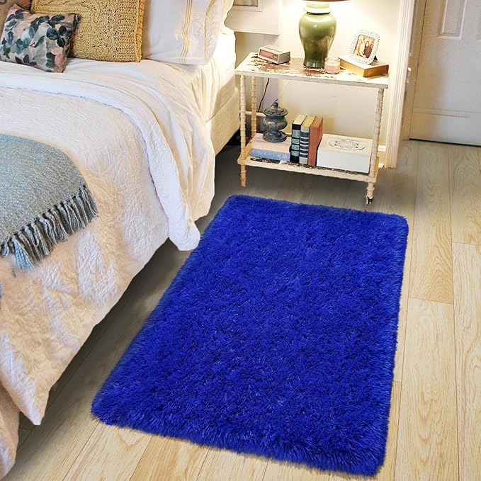 Pionblank Fluffy Small Rug for Bedroom 2x3 Feet, Shag Soft Area Rug for Bedside by PIONBLANK
