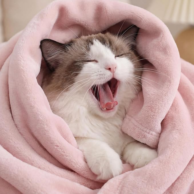 Bedsure GentleSoft Pink Throw Blanket - Image 3