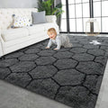TWINNIS Super Soft Shaggy Rugs Fluffy Carpets, 5x8 Feet, Indoor Modern Plush by TWINNIS