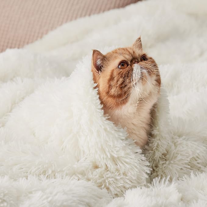 Bedsure GentleSoft Fluffy Cream Throw Blanket Decorative Blankets - Image 8