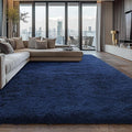 Shag Area Rugs for Bedroom Living Room, 4X6 Ultra Soft Fluffy Area Rugs for Dorm by Boshengya