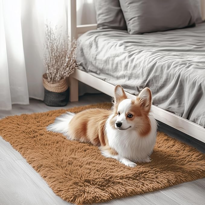OLANLY 2x3 Machine Washable Small Bedside Rug, Soft Fluffy Shaggy Entryway by OLANLY