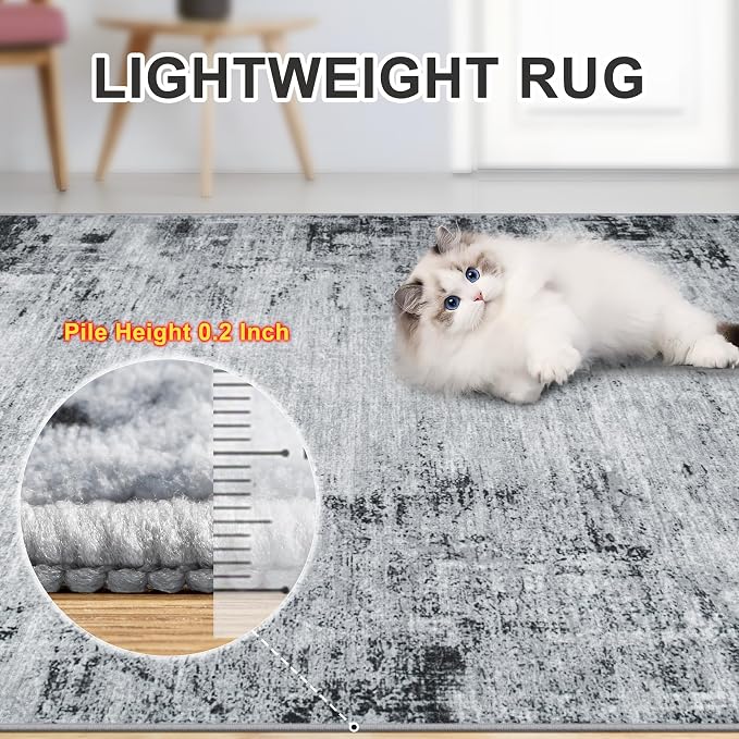 8x10 Area Rugs for Living Room - Image 6