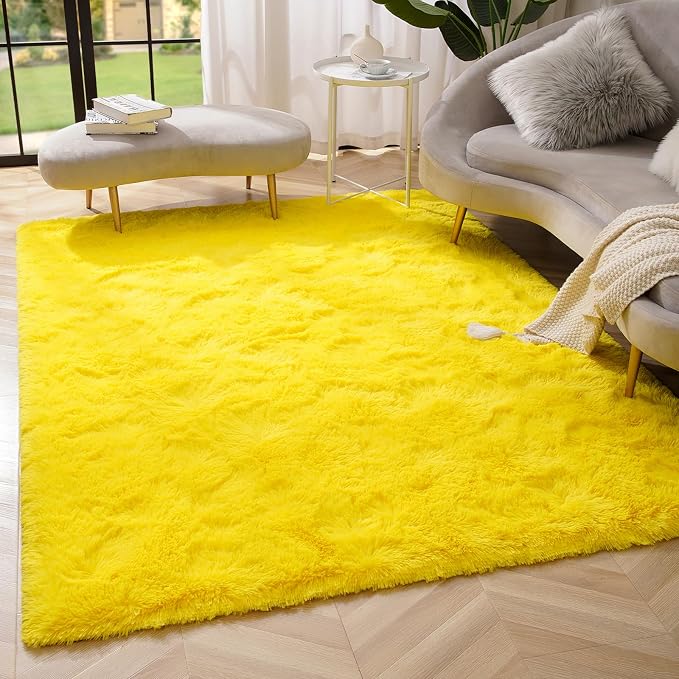 Amearea Premium Soft Fluffy Area Rug Modern Shag Carpet, Fuzzy Plush Rugs by AmeareaDirect