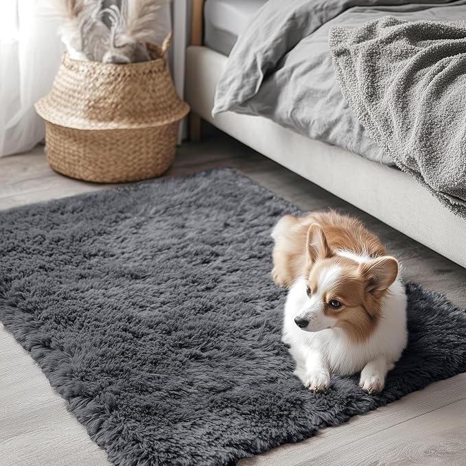 OLANLY 2x3 Machine Washable Small Bedside Rug, Soft Fluffy Shaggy Entryway - Image 3