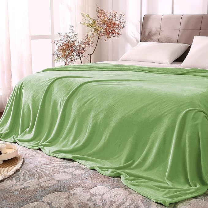 BEDELITE Fleece Blankets Queen Size Grass Green Throw Blankets by BEDELITE