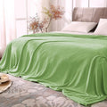 BEDELITE Fleece Blankets Queen Size Grass Green Throw Blankets by BEDELITE