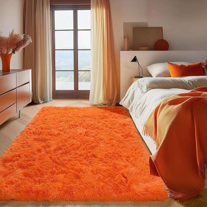 ONASAR Orange Area Rugs for Bedroom Living Room, Fluffy 4x6 Indoor Bedside by ONASAR