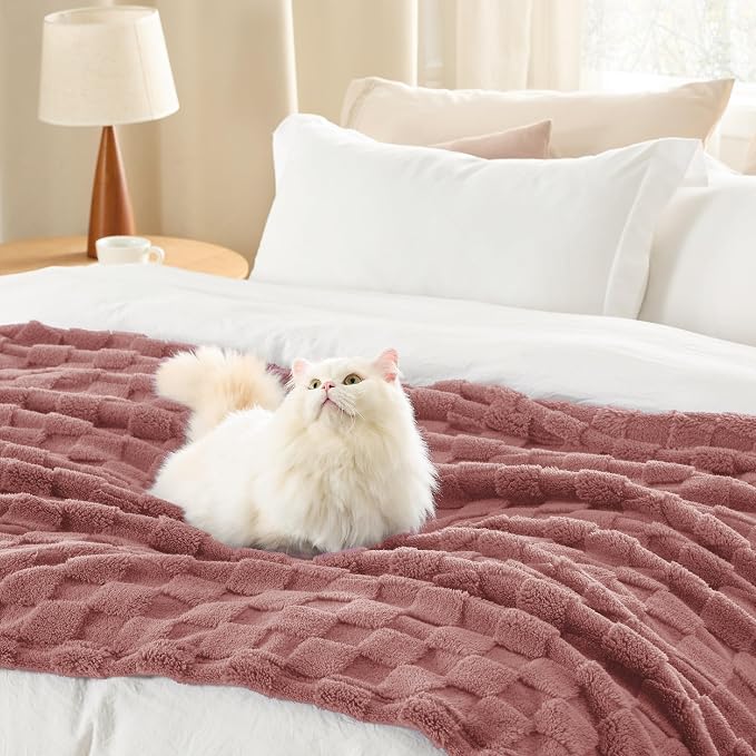 Bedsure GentleSoft Blankets Queen Size - Image 6