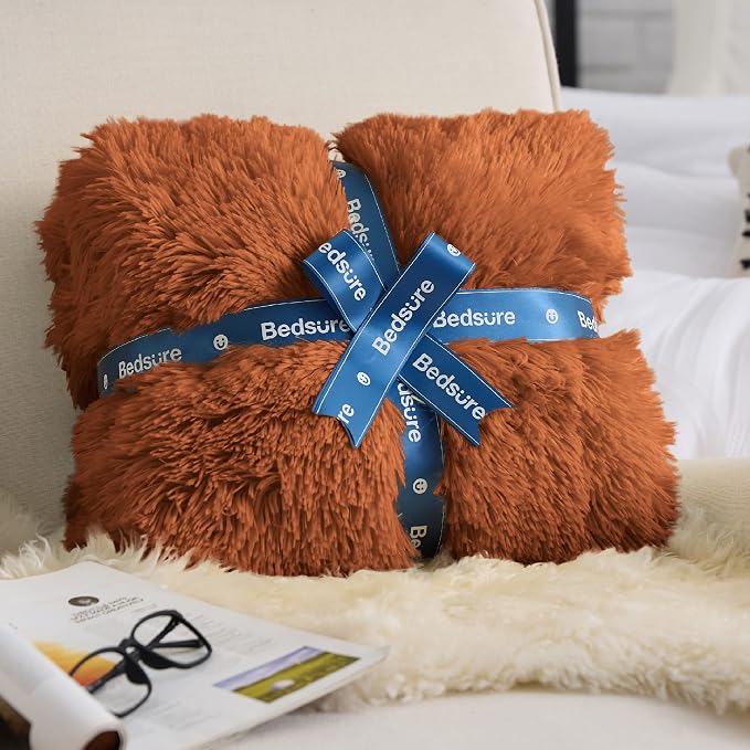 Bedsure GentleSoft Fluffy Burnt Orange Throw Blanket Fall Decorations - Image 5