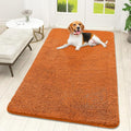 OLANLY Dog Door Mat for Muddy Paws 59x32, Absorbs Moisture and Dirt, Absorbent by OLANLY