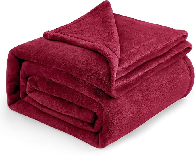 Flannel Fleece Luxury Blanket Red Queen Size Lightweight Cozy Plush Microfiber by BEDSURE
