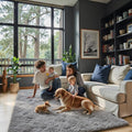 Ultra Soft Rug for Living Room, 3x5 Feet Grey Shag Area Rugs for Living Room by Junhejiamei