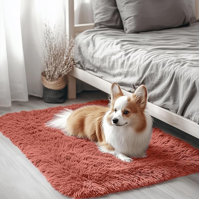 OLANLY 2x3 Machine Washable Small Bedside Rug, Soft Fluffy Shaggy Entryway by OLANLY