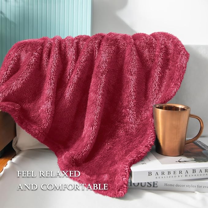 Exclusivo Mezcla Plush Fuzzy Fleece Throw Blanket Extra Large, Super Soft - Image 4