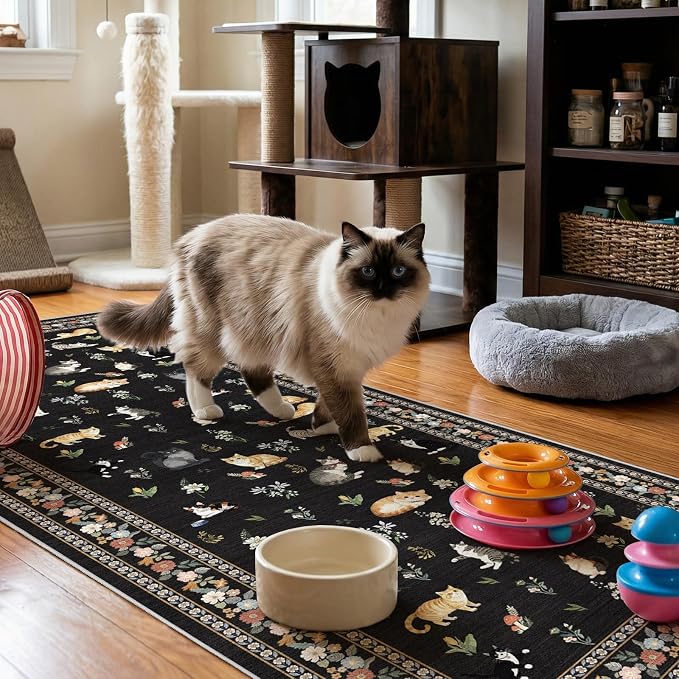 3x7 Washable Kitchen Runner Rug by EISUROM