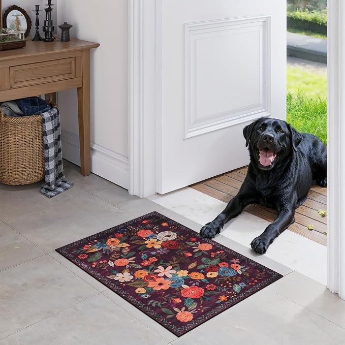 Area Rugs 24x17 Inch Home Decor Entry Rug, Small Door Mat Bath Mats - Image 6