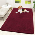 OLANLY Dog Door Mat for Muddy Paws 59x35, Absorbs Moisture and Dirt, Absorbent by OLANLY