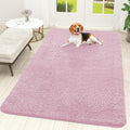 OLANLY Dog Door Mat for Muddy Paws 70x46, Absorbs Moisture and Dirt, Absorbent by OLANLY