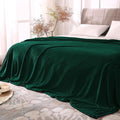 BEDELITE Fleece Blankets Queen Size Forest Green Throw Blankets by BEDELITE