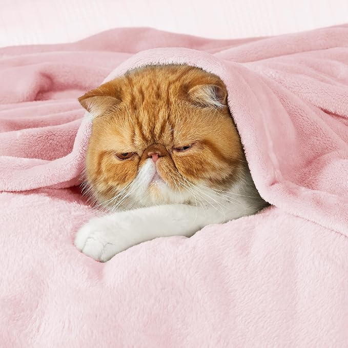 Bedsure GentleSoft Pink Fleece Throw Blanket - Image 5