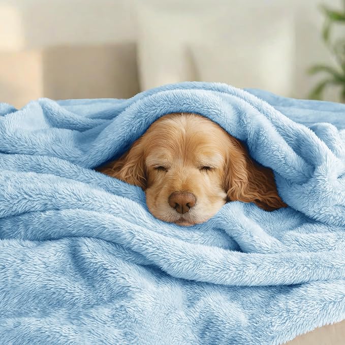 Exclusivo Mezcla Plush Fuzzy Fleece Bed Blanket Queen Size, Super Soft - Image 3