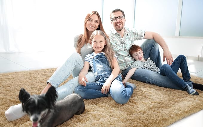 LOCHAS Ultra Soft Indoor Modern Area Rugs Fluffy Living Room Carpets - Image 5