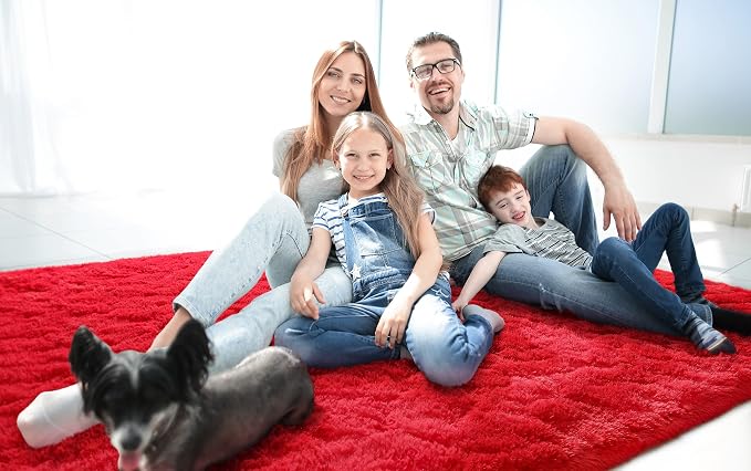 LOCHAS Ultra Soft Indoor Modern Area Rugs Fluffy Living Room Carpets - Image 4