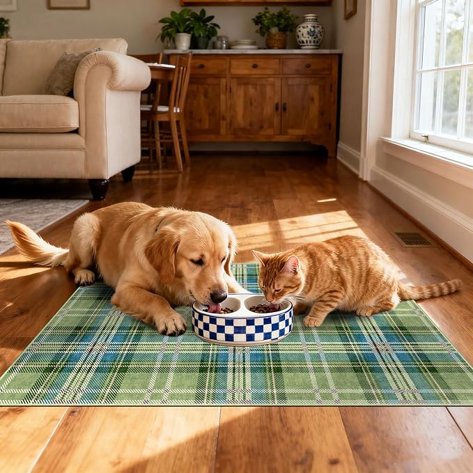 Buffalo Outdoor Rug - Image 6