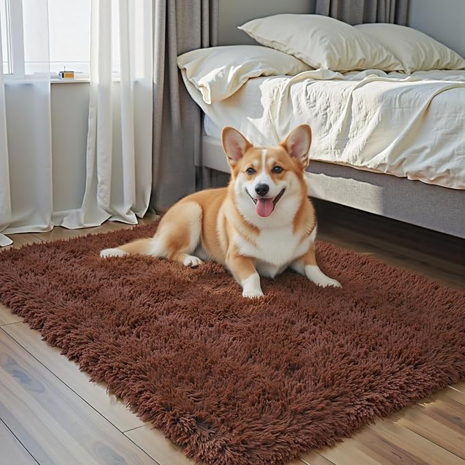 Small Rugs for Bedroom 2x3, Soft Area Rug for Living Room Dorm, Non Slip Shag by Junhejiamei