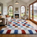 Large Shag Area Rug for Bedroom Living Room, 8x10 Fluffy Soft Colorful by Boshengya