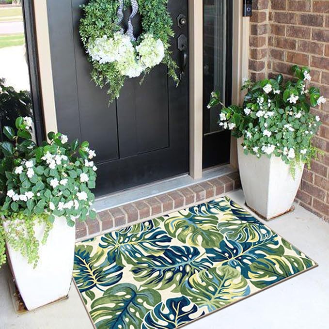 Front Door Mat Outside Entrance - Image 4